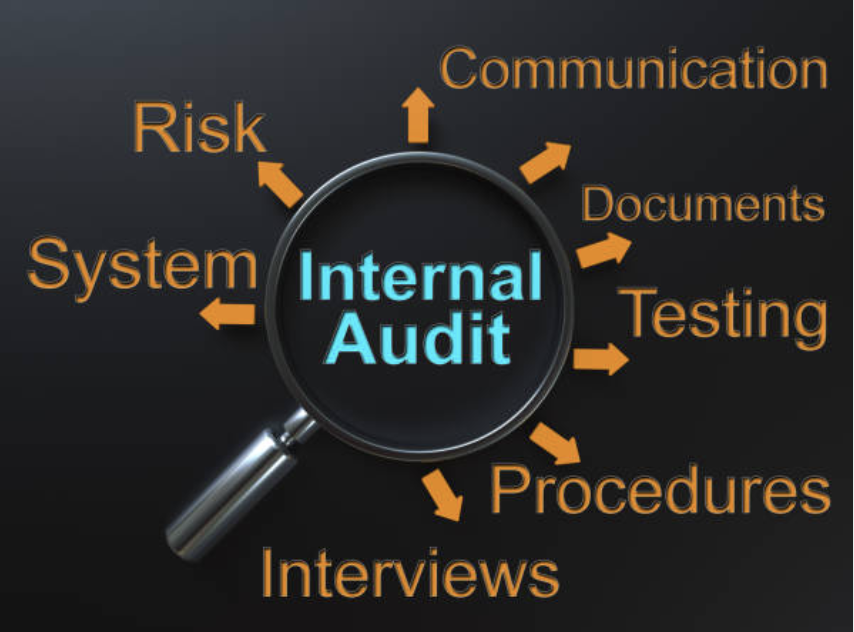 Internal Audits