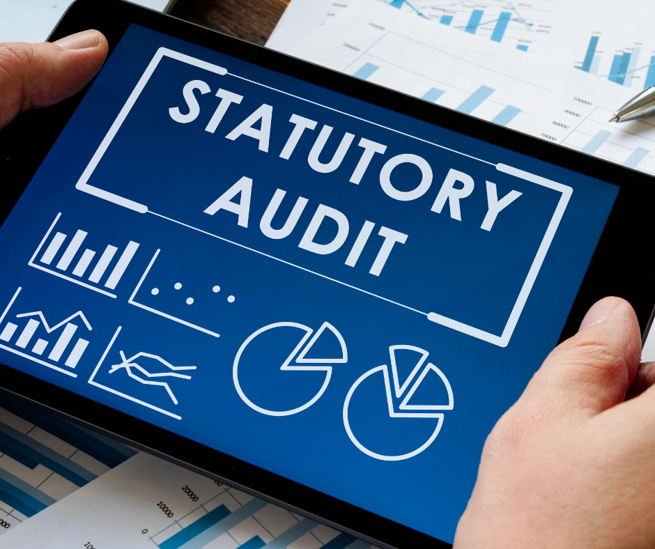 Statutory Audits